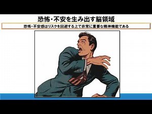 No16.脳シリーズ　理学療法士が解説する情動と理性の関係性