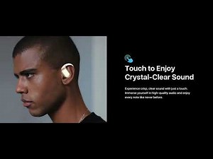 Merryking M75 Language Translator Earbuds