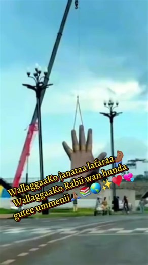 Hikaa sidaa kanaa dhagefadhaa — WallaggaaKo janataa lafaraa