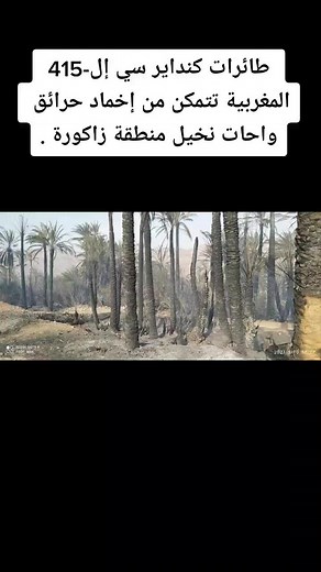 Firefighting Aircraft in Action: Aerial Fire Control