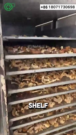 Commercial Food Dryer Machine | Food Drying Oven for Fruits Vegetables Meat Herbs Seafood
