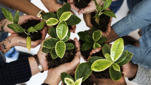 Regional Decarbonization Framework