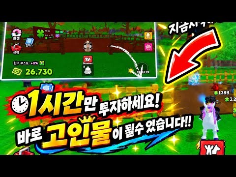 펫 타기 장소 꿀팁들!! 저도 1시간 만에 고인물됐습니다 ㅋㅋ