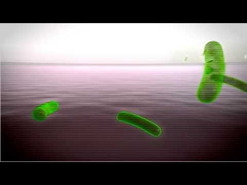 Application of ALLEVYN Gentle Border Multisite Dressing to the Elbow