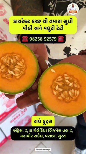 ડાયરેક્ટ કચ્છના ખેડુત થી ડાયરેક્ટ તમારા સુધી ટેટી #summer #shorts #ytshorts #trending #vasutrends