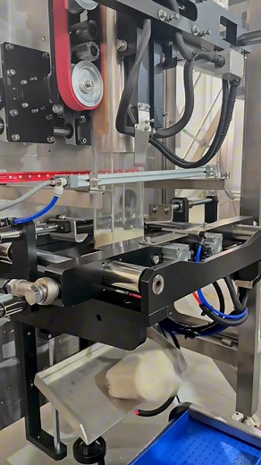 1.8K views | rice packing machine 300g-1kg up to 5kg quad seal bag & pillow bag vffs packing system Designed for rice and grains. Supports both quad seal premium bags & standard pillow bags, from 300g to 5kg. Stable weighing accuracy & strong sealing performance for commercial production. #ricepackingmachine #vffs #quadbag #pillowbag #grainprocessing #foodpacking #machine #packagingsolutions #factoryautomation | Haiyin Chen | Facebook