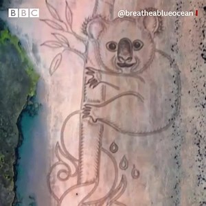 16K views · 520 reactions | How Australian artist "Edward" responded to the "raw emotion" of the bushfires. | BBC World Service | Facebook