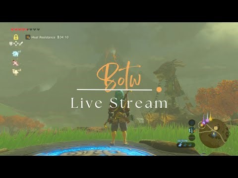 Relaxing Zelda Breath of the Wild: ASMR Stream on Nintendo Switch 2