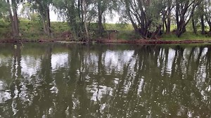 North Canterbury Fishing Report - 29 January 2026 So far this season has been a bit of a broken record, with most of our larger river systems still running high and dirty, which hasn’t been ideal for anglers. The good news is the Rakaia is shaping up to offer a short fishable window this evening and into the following days before more rain arrives in the headwaters. Clean windows on the Rakaia have been few and far between this season, so if you’re able to get out, it’s a good chance to make the