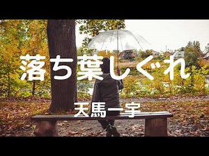 落ち葉しぐれ