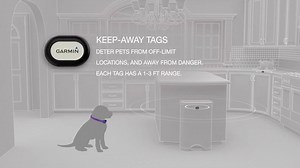 4.2K views · 21 reactions | The Garmin Delta Smart dog training...