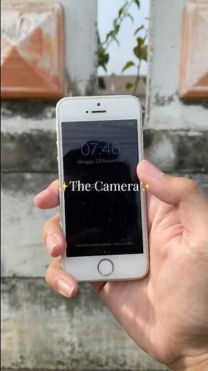 Photographing flowers using iPhone 5s #photography #shotoniphone #iphone