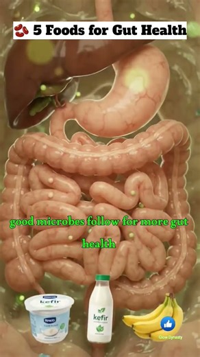 🫘 5 Best Foods for Gut Health | Feed Your Good Gut Bacteria! 🦠✨ #shorts