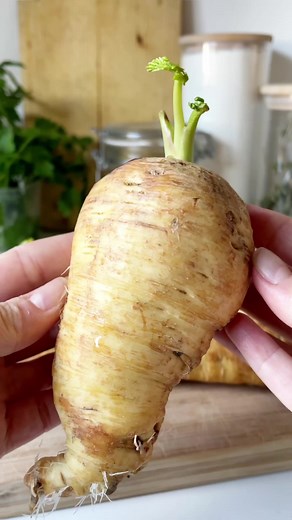 Scopri la pastinaca: ricetta vellutata deliziosa