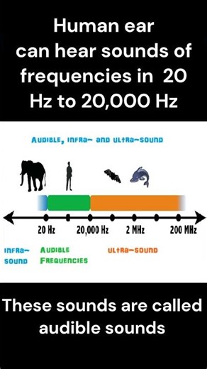 Audible, infra- and ultra-sound
