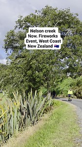 Nelson Creek Now, for Fireworks Event West Coast, New Zealand 🇳🇿 | Brownmilk family New Zealand