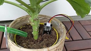 Projekte mit Arduino und ESP: Die 25 besten Projekte zum Nachbauen