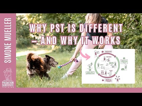 Predation Substitute Training is Different - And This is Why it Works