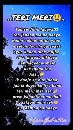 ✨..Teri Meri..😫(lyrics)
