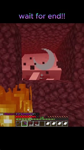 I Found The RAREST Block in Minecraft NETHER 🤯 (BEST LUCK EVER)