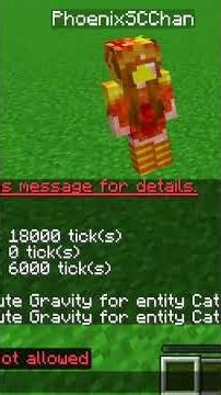 It has begun......... Minecraft Age Verification.