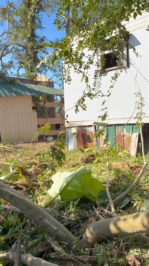 Jose Tree Services & Landscaping on Reels