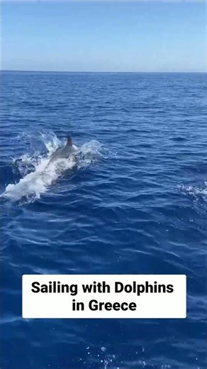 Sailing with Dolphins in Greece