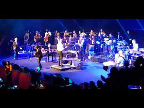 David Rodigan 40th anniversary gig live at the Royal Albert Hall