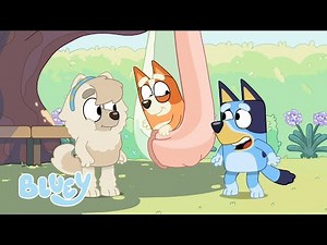 Bluey in Hindi | Moments of Gratitude with Bluey 😇 | देखिये Hindi Cartoon for Kids 💙 🇮🇳