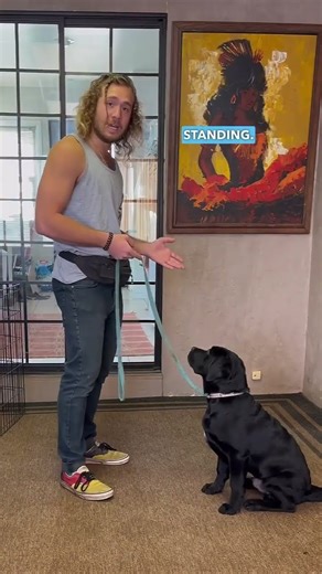 🤓🐕Are you ready to teach your dog the HEEL command?🐶🧠 Say hello to the Circle Method! Here is a