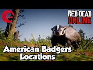 American Badger Locations rdr2 Online - Red Dead Online American Badgers Location Guide