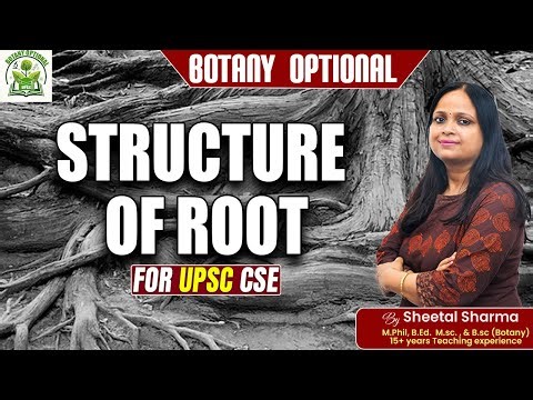 Structure of Root in Plants 🌱 | Biology Lecture by Sheetal Mam
