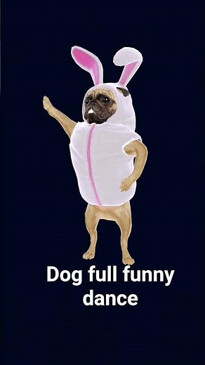 #comedy #funny #dance #entertainment dog full funny dance