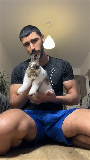 Educational Insights About Caring for Rabbits