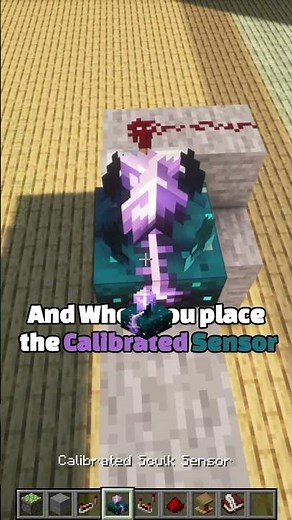 Calibrated Sculk Sensor Door – Clear Updated Version