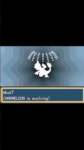 CHARMANDER full evolution Charizard