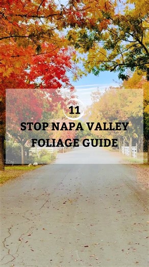 Dan Bernstein: Travel Guides | Hiking | California on Instagram: "🍁 Foliage Guide to Napa Valley 🍂 Discover the fall colors from some of the five iconic towns that make up Napa Valley: Napa, Yountville, Calistoga, American Canyon, and Saint Helena. 🍷✨ Start your journey in Napa, the heart of the valley, with its vibrant downtown and renown wineries, including my personal favorite for Cabernets: Pine Ridge Winery. Then head north towards Yountville, known for its world-cla