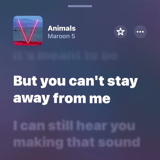 Animals - Maroon 5 | #spotify #music #audio #songlyrics #lyricvideo #lyrics #song