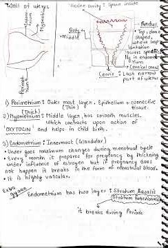 class 12th| neet |biology| chapter 2 Human reproduction notes #learning #motivation #study