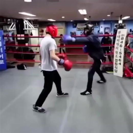 Incredible Joey Abuki Anime Edit