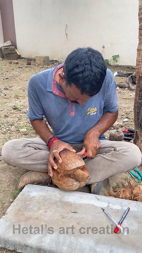 10M views · 4K reactions | Turtle carving - What a Creativity #coconutbonsai #turtle #creativity #diy | Hetal's Art - Creation | Facebook