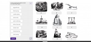 Drop and drag the labels to their corresponding images.Labels... | Filo