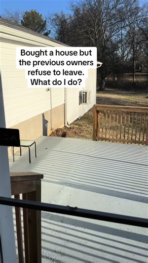 Seriously though…they are so cute but they can’t stay! They are living under the house and that cannot be good…taking suggestions! #groundhogs #wildliferescue #help #critters #rehome