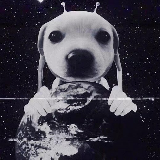 Discover Gog the Alien Dog's Funky Adventures