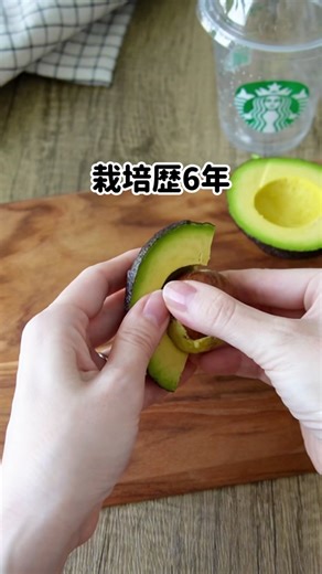アボカド栽培の楽しみと育て方