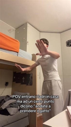 Gatti e ladri: cosa succede davvero in casa