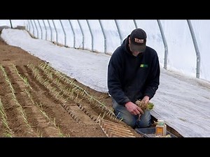Fertile ground in rural Alaska at Meyers Farm