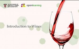 【红酒概论】01 Alcoholic Beverages酒精饮品