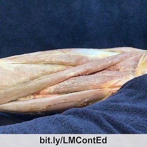 For more information, please go to bit.ly/LMContEd  . Beautiful...