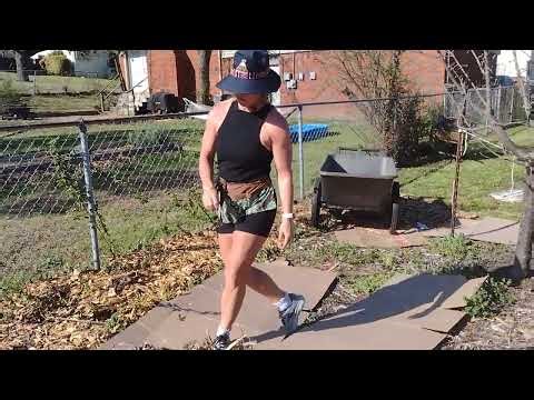 Urban orchard mulching inspired by the Back to Eden gardening method-